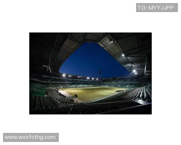 足球传奇球星的辉煌岁月与绿茵场上不灭的荣耀传说